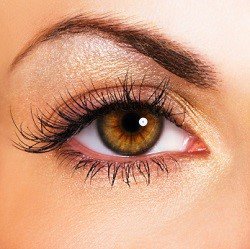 Blepharoplasty Eyelid Surgery Beverly Hills