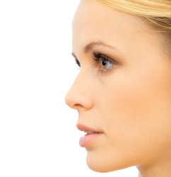 nose anatomy blog